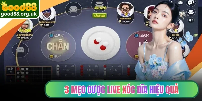 3 mẹo cược Live Xóc Đĩa hiệu quả