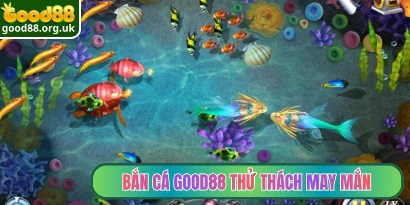 Bắn cá Good88 thử thách may mắn