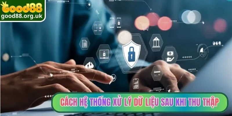Cách hệ thống xử lý dữ liệu sau khi thu thập