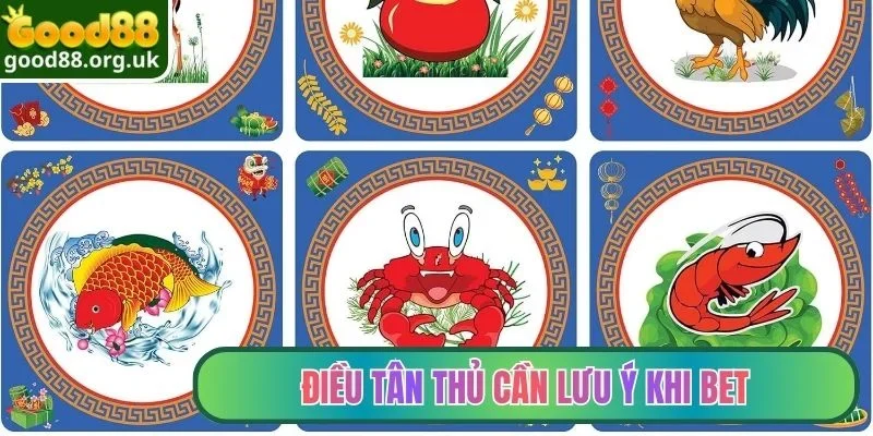 Điều tân thủ cần lưu ý khi bet