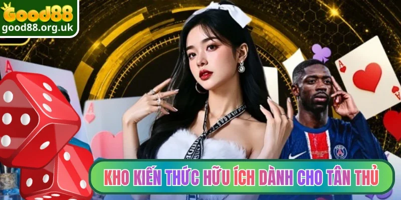 Kho kiến thức hữu ích dành cho tân thủ