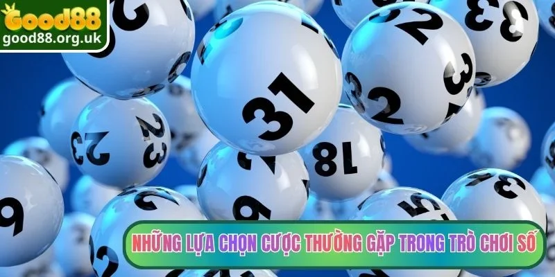 Những lựa chọn cược thường gặp trong trò chơi số