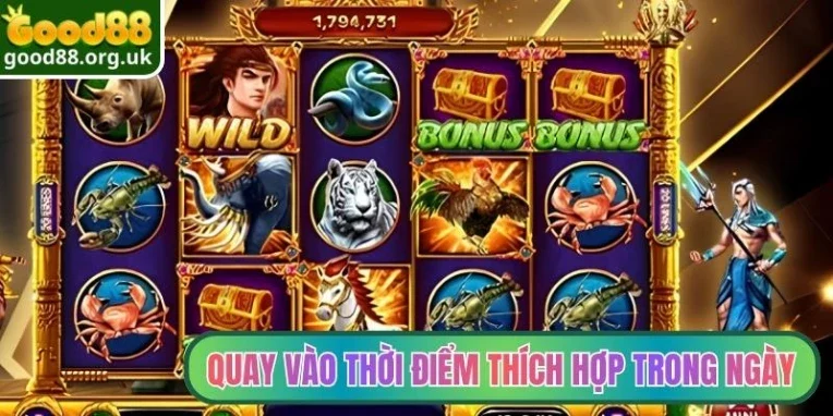 Quay hũ vào thời điểm thích hợp trong ngày
