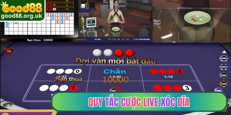 Quy tắc cược Live Xóc Đĩa