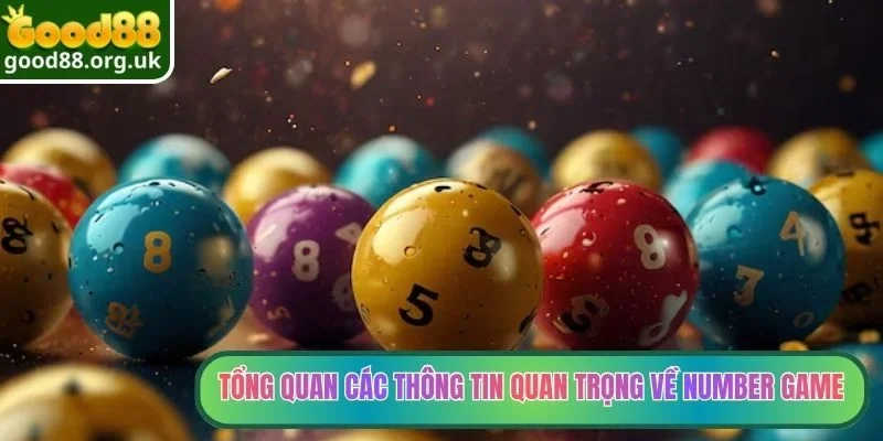 Tổng quan các thông tin quan trọng về Number Game